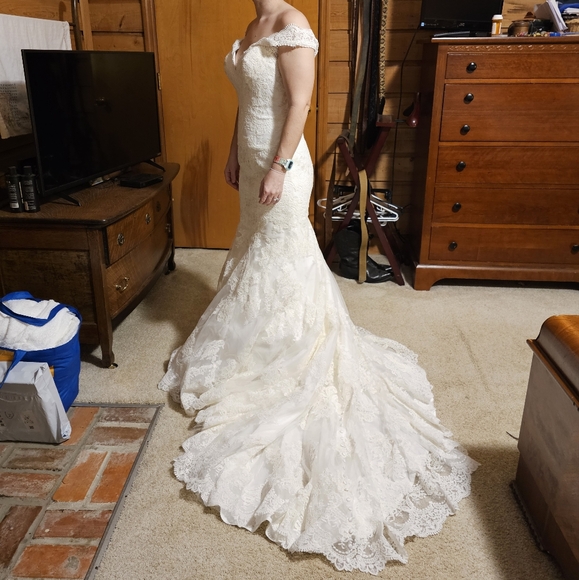 Allure Bridals Lace Wedding dress with sleeve, mermaid style 9322 - Picture 14 of 16